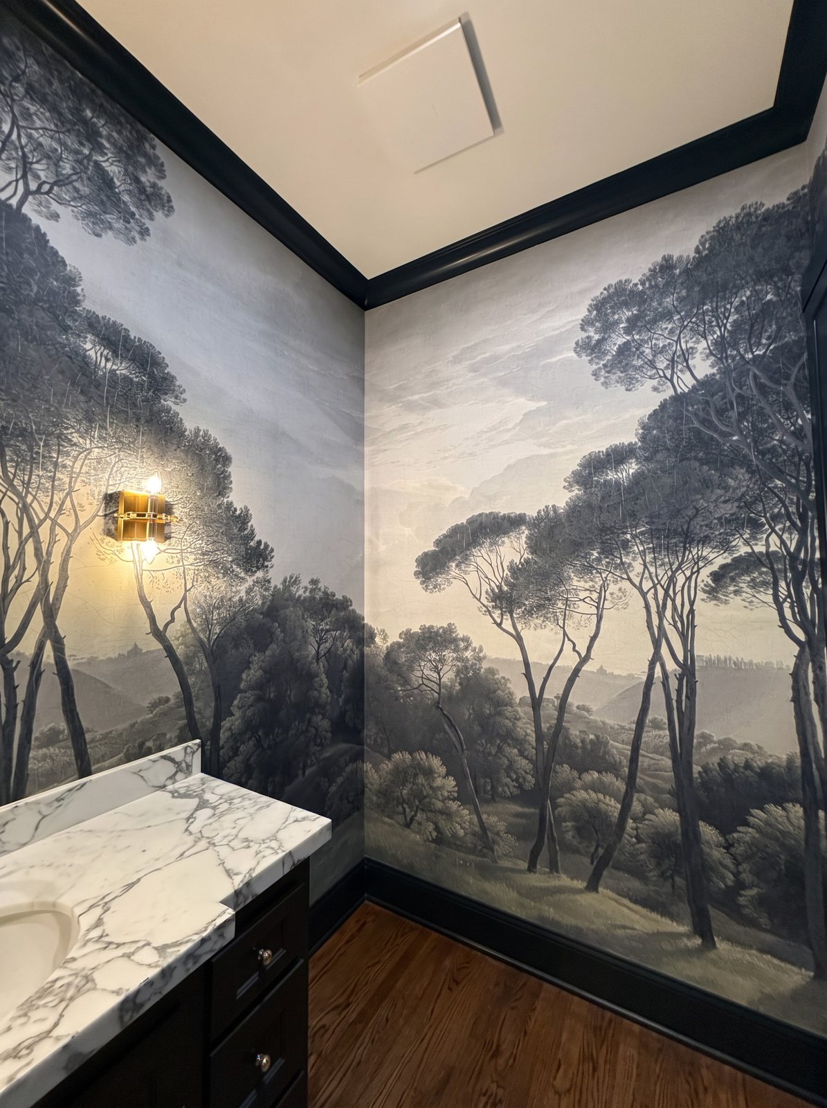 Bathroom corner papered with a grey-toned scenic mural of tall pine trees and distant hills, framed by black trim.